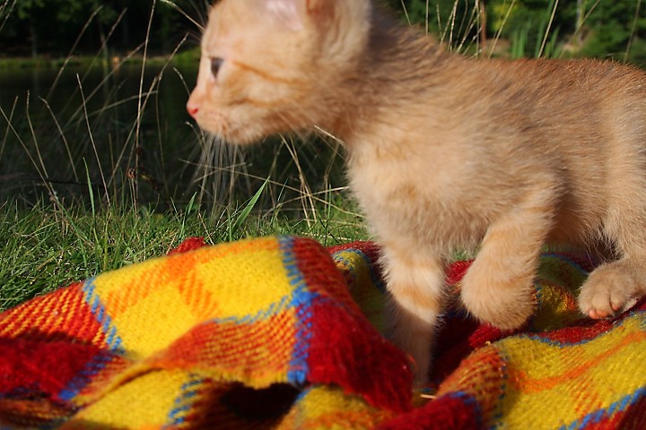 img00021.jpg