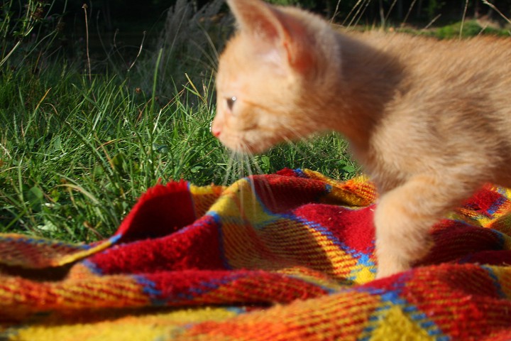 img00022.jpg