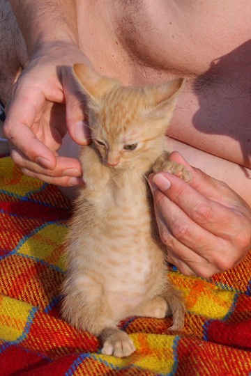img00029.jpg