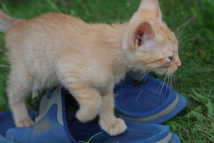 img00048.jpg