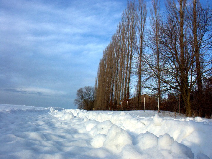 img00062.jpg